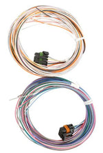 Holley EFI Pro Dash Standalone Service Harness image 2