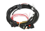 Holley EFI Ford GT500 and 3V Drive-by-Wire Throttle Body Harness image 2
