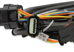 Holley EFI Ford GT500 and 3V Drive-by-Wire Throttle Body Harness image 5