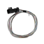 Terminator X Input/Output Harness image 1