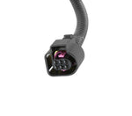 Holley EFI Terminator X Wideband Adapter Harness image 2