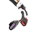 Holley EFI Terminator X DBW Harness - GM Gen V LTX image 4