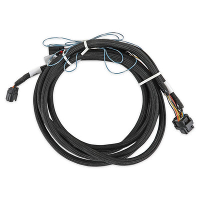 2018-2022 Ford DBW Harness