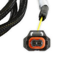 GM PWM Alternator Harness image 2