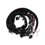Holley EFI Harness Kit - Ford Foxbody 5.0L V8 W/Tfi image 2