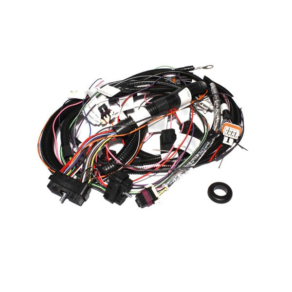 Wiring Harness, Xim For Ls1 St And Alone