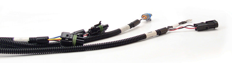 Wiring Harness, Fast Main (GM Tpi)