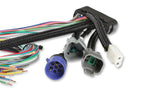 MSD Power Grid System - Controller Only - Red image 6