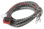 MSD Coil Harness - Pro 600 image 2