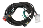 MSD EFI And LS Harness - Pro 600 image 1