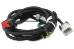 MSD EFI And LS Harness - Pro 600 image 2