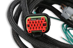 MSD EFI And LS Harness - Pro 600 image 3