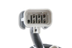 MSD EFI And LS Harness - Pro 600 image 4
