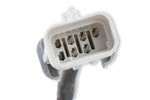 MSD EFI And LS Harness - Pro 600 image 5