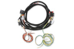 MSD Power Grid Harness - Pro 600 image 1