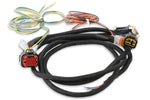 MSD Power Grid Harness - Pro 600 image 2