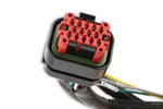 MSD Power Grid Harness - Pro 600 image 3