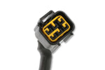 MSD Power Grid Harness - Pro 600 image 5
