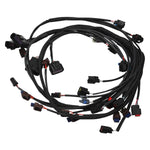 Pro-Flo 4+ EFI Engine Management System #36160 for 2015-17 Ford Coyote image 3