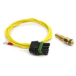 EAS Temp Sensor 1/8