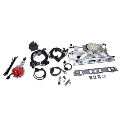 Pro-flo 4 Fuel Injection Kit, Sequential Port, Ford 289-302, 450 HP, 29lb Injectors, Black Plasma Finish