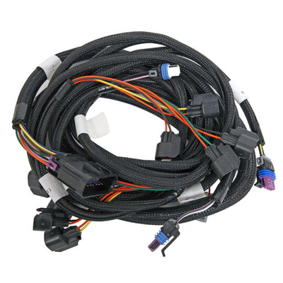 Harness, Ez-ls