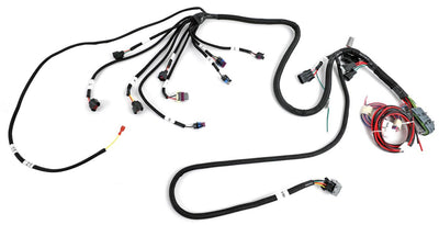 Harness Ez-efi Fuel