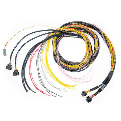 FT700 C & D Unterminated Harness — 20ft