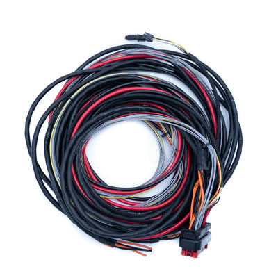 Ftspark-6 Blank Harness