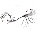 FT550 LS Engine GEN IV Complete Harness (LS550) image 1