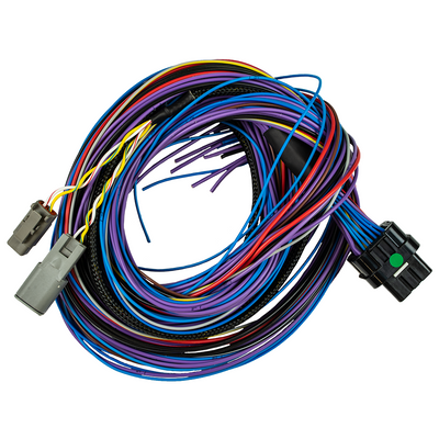 Peak & Hold Pro Harness