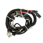 HP EFI ECU & Harness Kits - Universal V8 Multi-Point Fuel Injection, Includes NTK Oxygen Sensor image 3