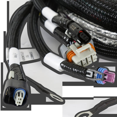 Holley EFI Gen V LT Engine Main Harness