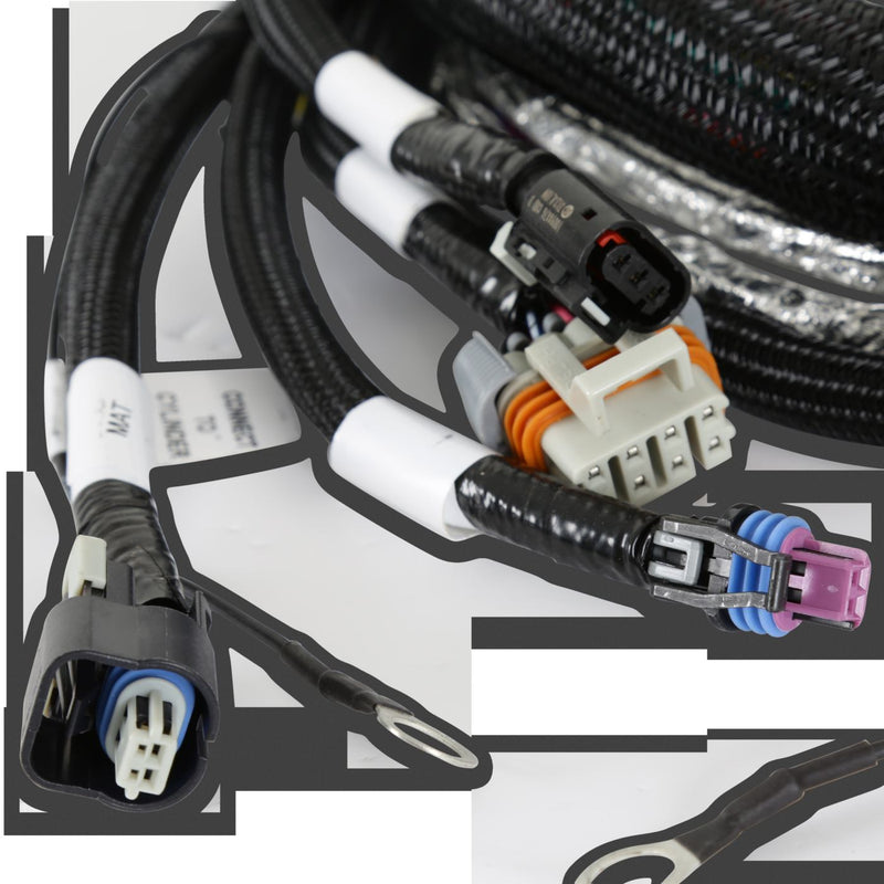 Holley EFI Gen V LT Engine Main Harness