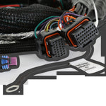 Holley EFI Gen V LT Engine Main Harness image 2