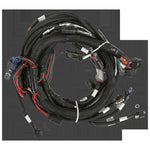 Holley EFI Gen V LT Engine Main Harness image 3