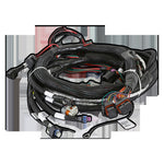 Holley EFI Gen V LT Engine Main Harness image 4