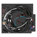 Holley EFI LT4 Engine Main Harness image 1