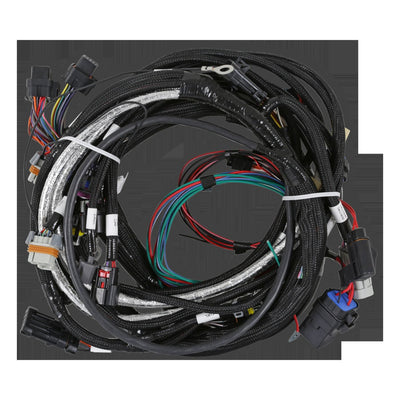 Holley EFI LT4 Engine Main Harness