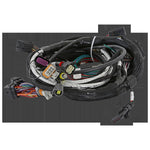 Holley EFI LT4 Engine Main Harness image 4
