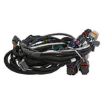 Holley EFI LT4 Engine Main Harness image 5