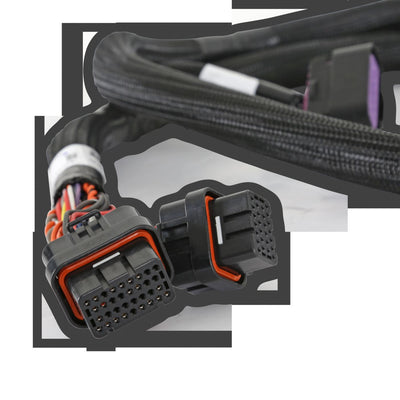 Holley EFI GM GEN V GDI Sub Harness - For Early LTx Engines