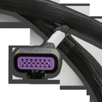 Holley EFI GM GEN V GDI Sub Harness - For Early LTx Engines image 2
