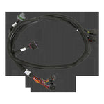 Holley EFI GM GEN V GDI Sub Harness - For Early LTx Engines image 3