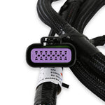 Holley EFI GM GEN V GDI Sub Harness - Late LTx Engines image 1