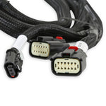 Holley EFI GM GEN V GDI Sub Harness - Late LTx Engines image 2