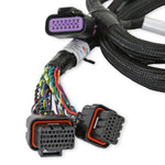 Holley EFI GM GEN V GDI Sub Harness - Late LTx Engines image 3