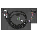 Holley EFI GM GEN V GDI Sub Harness - Late LTx Engines image 5