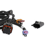 Holley EFI Transmission Harness - TKO image 3