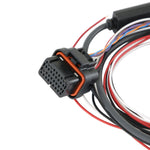 Holley EFI Pro Dash M8 Service Harness image 2